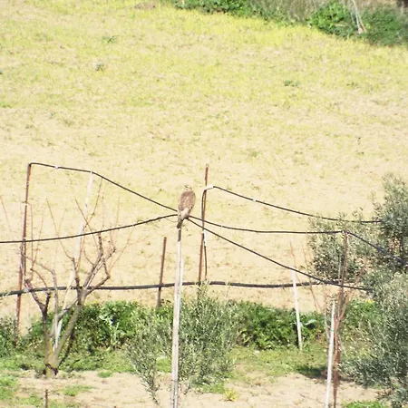 ホテル La Casa Sarda フルミニマッジョーレ