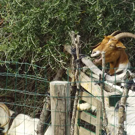 ホテル La Casa Sarda