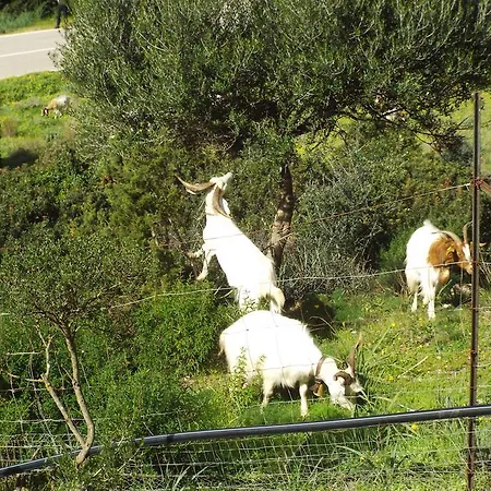 La Casa Sarda Hotel Fluminimaggiore
