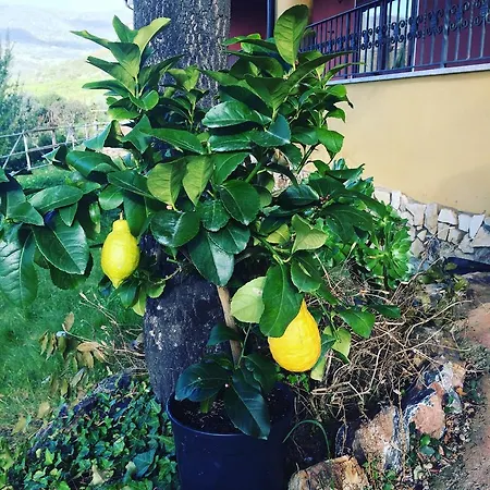 La Casa Sarda * フルミニマッジョーレ