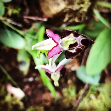 La Casa Sarda Hotel *