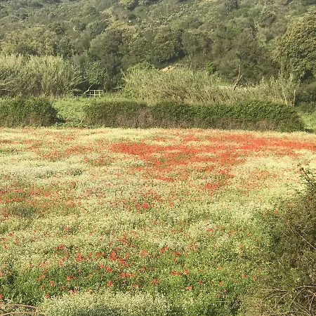 La Casa Sarda フルミニマッジョーレ