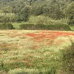La Casa Sarda Fluminimaggiore