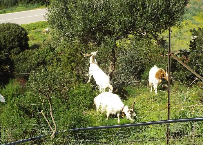 La Casa Sarda Hotel Fluminimaggiore