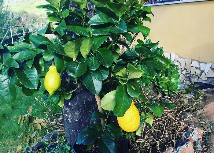 La Casa Sarda * Fluminimaggiore