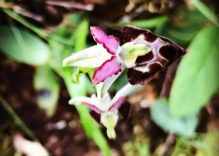 La Casa Sarda Hotel *