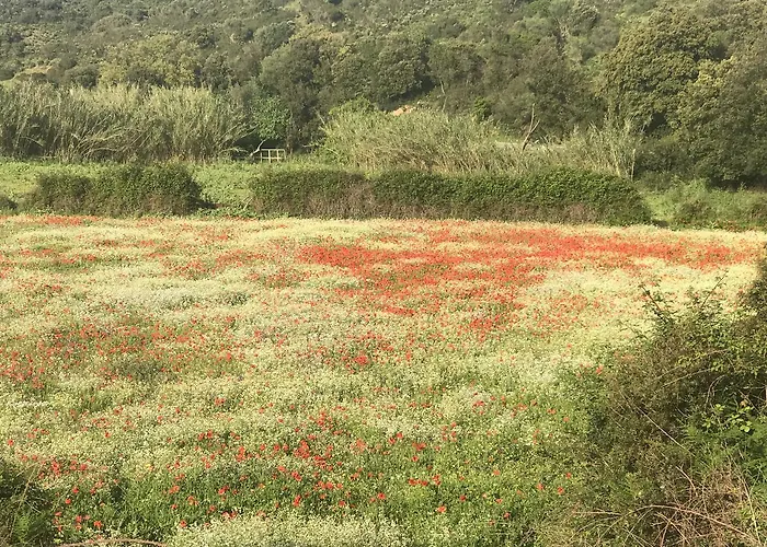 La Casa Sarda Fluminimaggiore